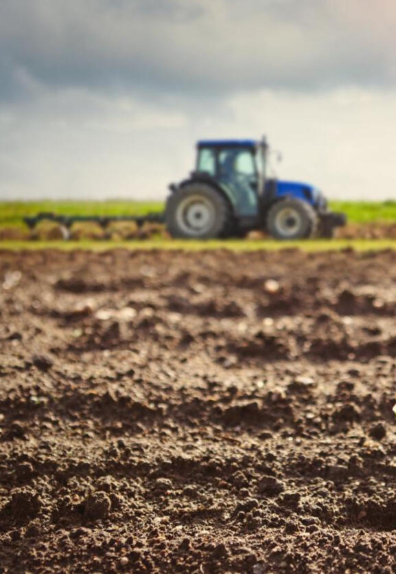 Купува земеделска земя Купува земеделска земя