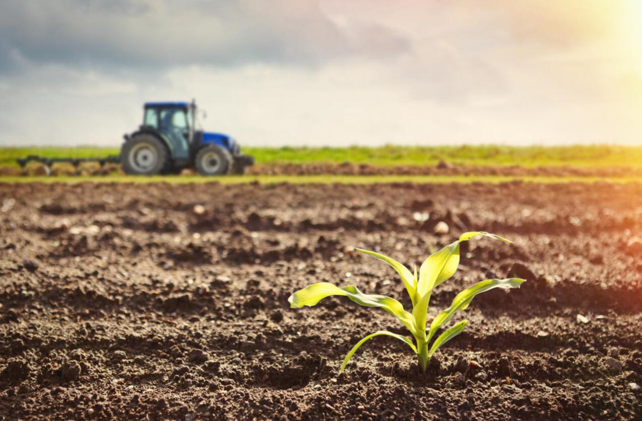 Купува земеделска земя Купува земеделска земя